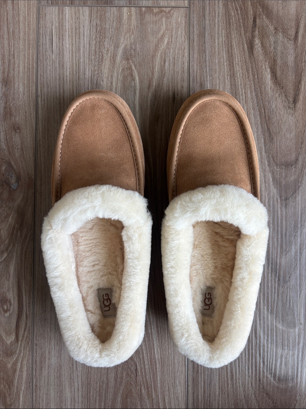 UGG Ainsley Mule Chestnut Suede Shearling Slippers in Chestnut and Cream